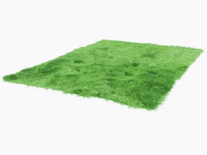 fuleri green carpet Model 3D