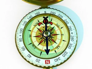 ゴールドコンパス 3Dモデル