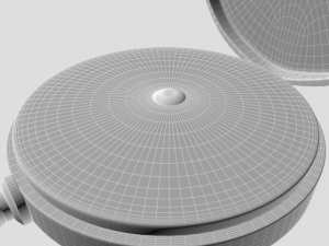 gold compass 3D 模型