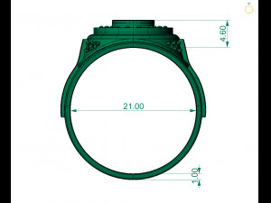 ring 3D 打印模型