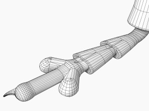 anthonomus pomorum Modello 3D
