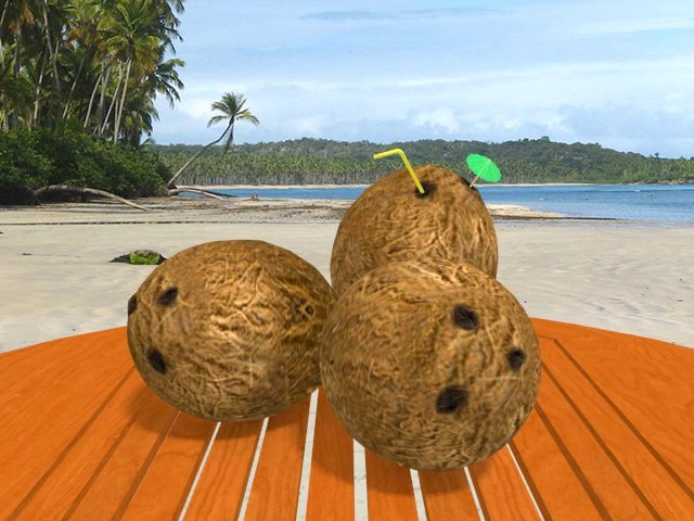 coconuts 3D Model .c4d .max .obj .3ds .fbx .stl .blend 