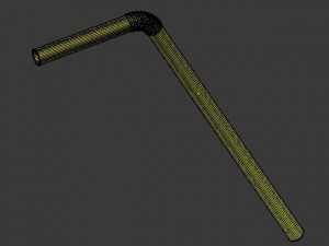 coconuts 3D Model