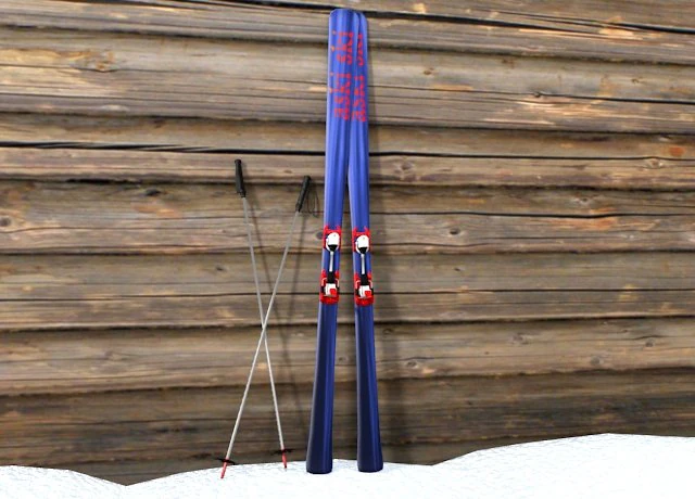 Ski und Stock 3D Modell .c4d .max .obj .3ds .fbx .stl .blend 
