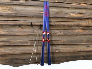 skis and pole 3D Model