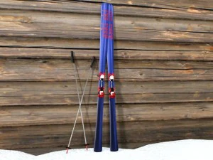 esquís y bastón Modelo 3D