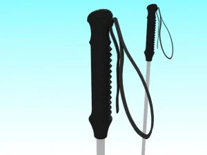 Ski und Stock 3D Modell