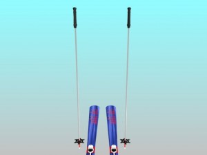 skis and pole 3D Model