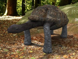 giant tortoise 3D-Modell