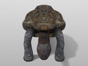 giant tortoise 3D मॉडल