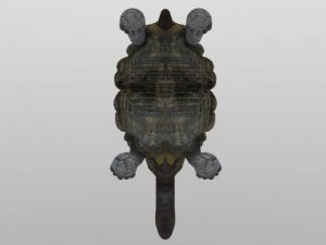 tartaruga gigante Modelo 3D