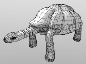 tartaruga gigante Modelo 3D