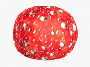 mushroom monster 3D Model