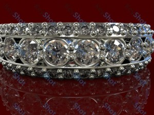 ring Modello 3D