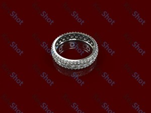 ring 3D 模型