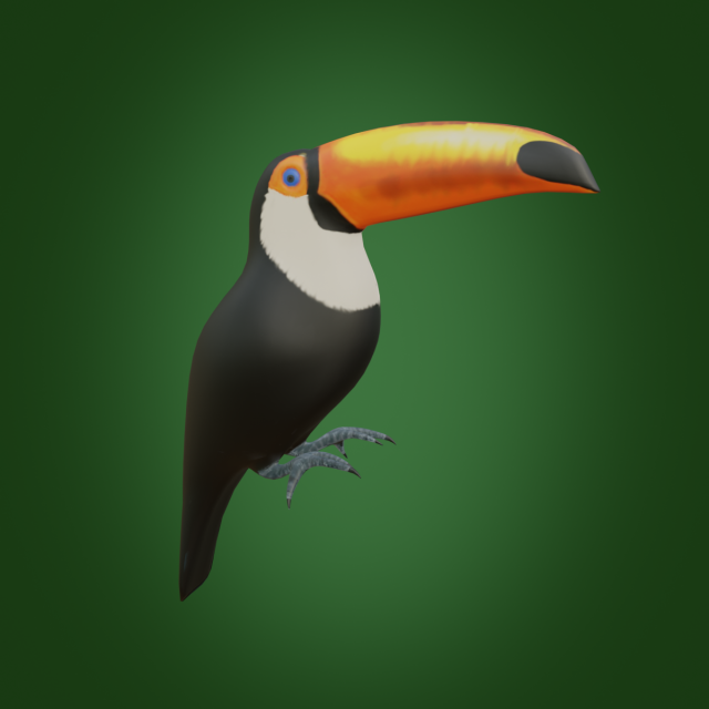 toucan 3D Модель .c4d .max .obj .3ds .fbx .stl .blend 