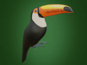 toucan 3D Model