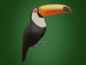 큰부리새 3D 모델