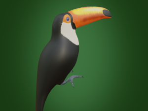 toucan 3D Модель