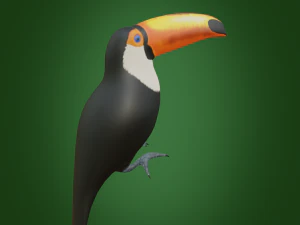 toucan 3D Model