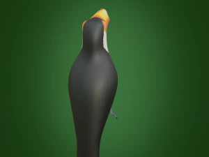 toucan 3D Model