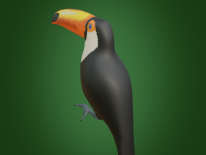 toucan 3D Модель