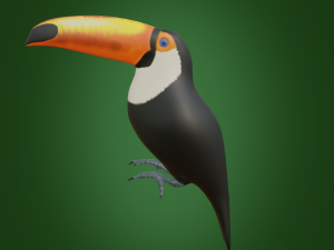 toucan 3D Модель