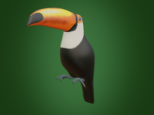 toucan 3D Модель