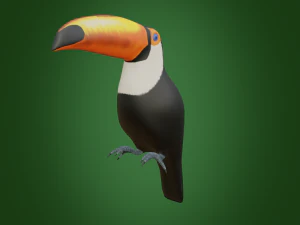 toucan 3D Model