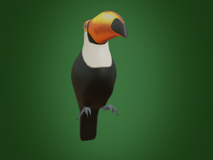 toucan 3D Модель