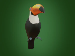 toucan 3D Model