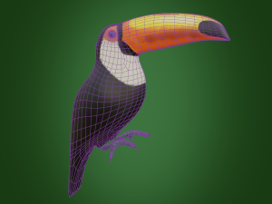 toucan 3D Модель