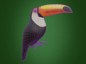 toucan 3D Model