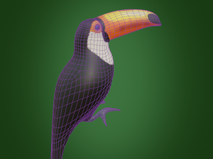toucan 3D Модель