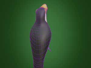toucan 3D Модель