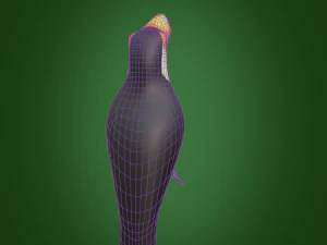 toucan 3D Model