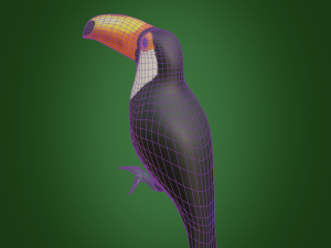 toucan 3D Модель