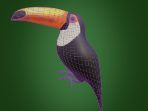 toucan 3D Модель