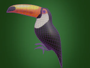 toucan 3D Model