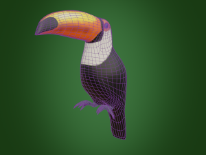 toucan 3D Модель