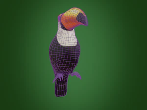 toucan 3D Model
