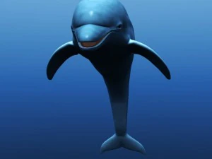 dolphin 3D Model