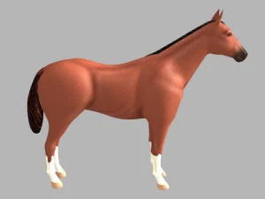 horse 3D Model