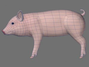 piggy 3D Model