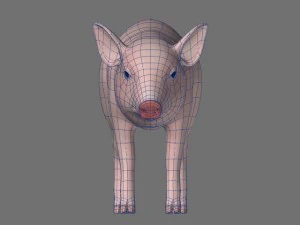 piggy 3D Model
