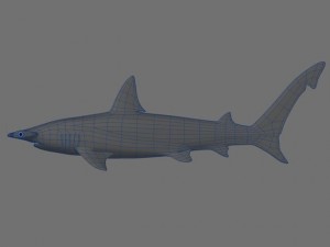 hammerhead 3D-Modell