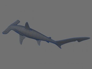 hammerhead 3D-Modell