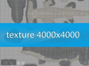 testa di martello Modello 3D