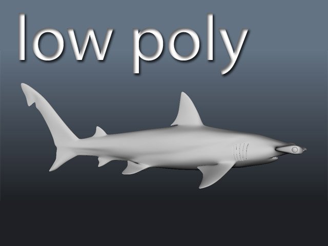 hammerhead modelling Modello 3D .c4d .max .obj .3ds .fbx .stl .blend 