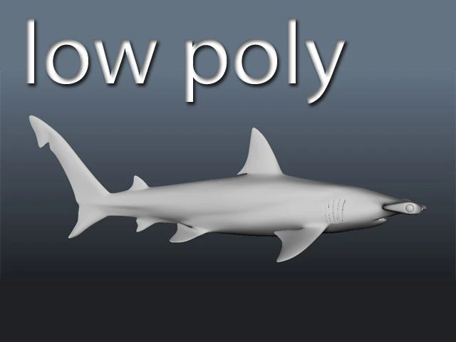 hammerhead modelling 3D Model .c4d .max .obj .3ds .fbx .stl .blend